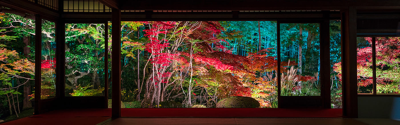 京都 初詣 人気